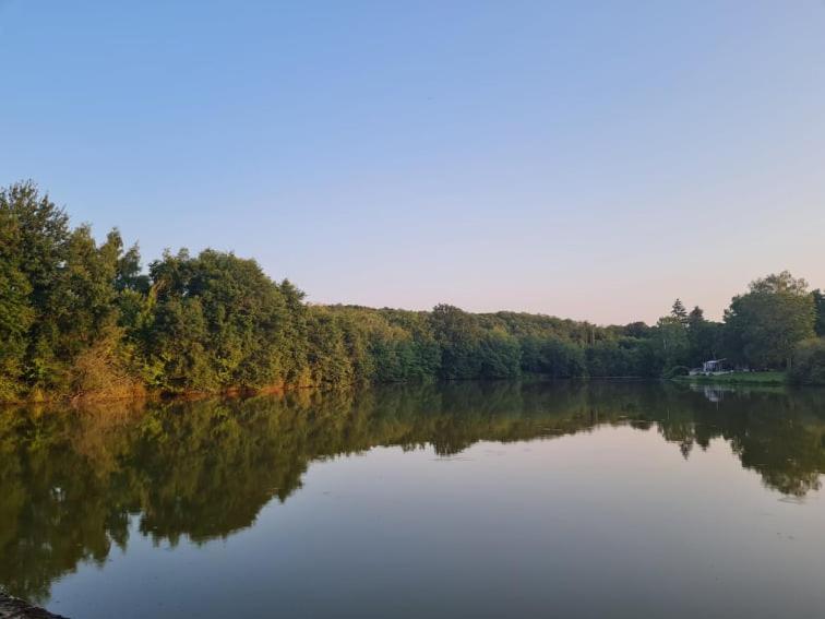 Camping De La Reuille Flere-la-Riviere 외부 사진