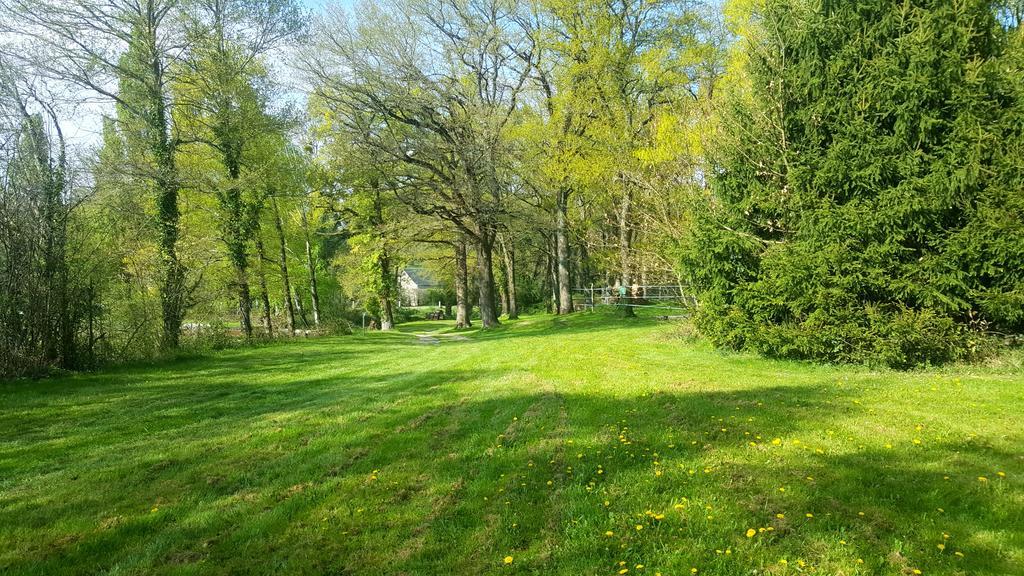 Camping De La Reuille Flere-la-Riviere 외부 사진