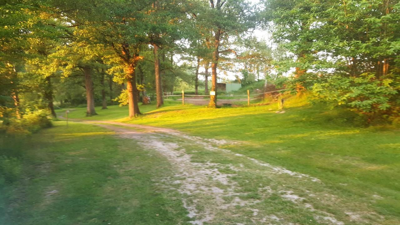 Camping De La Reuille Flere-la-Riviere 외부 사진
